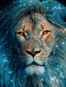 Gif animé lion sintillant